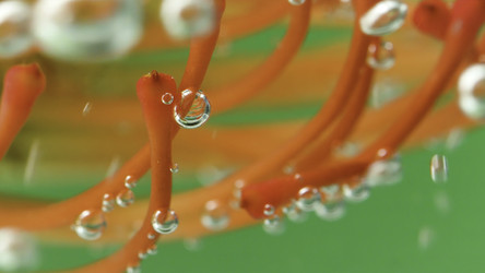 Similar image 22406081