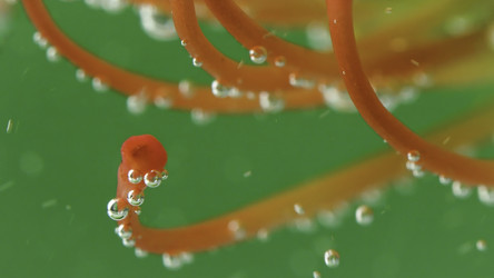 Similar image 22406094