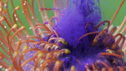 Similar image 22406184