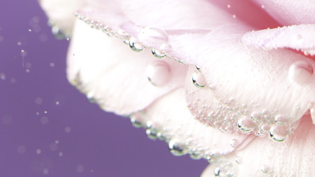 Similar image 22406201