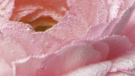 Similar image 22406214