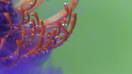 Similar image 22406229