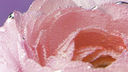 Similar image 22406244