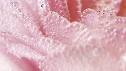 Similar image 22406289