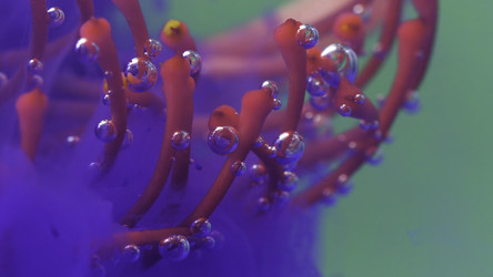 Similar image 22406321