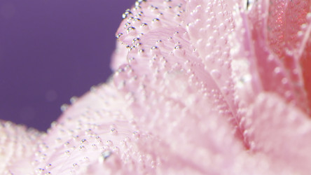 Similar image 22406337