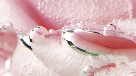 Similar image 22406396