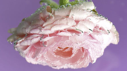 Similar image 22406455