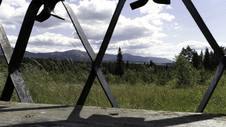 Similar image 22406499