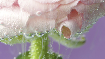 Similar image 22406529