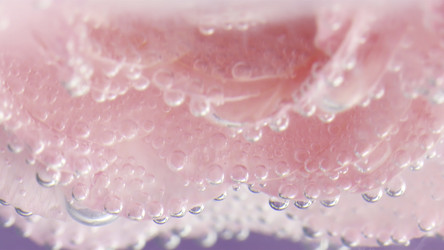 Similar image 22406620