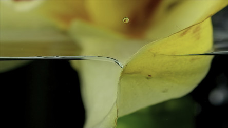 Similar image 22406741