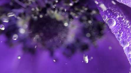 Similar image 22406798