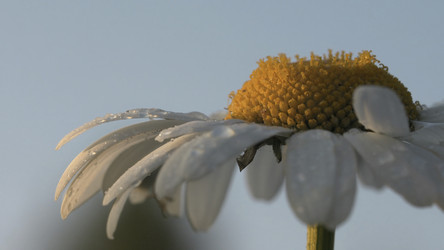 Similar image 22406799