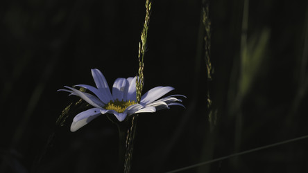 Similar image 22407057