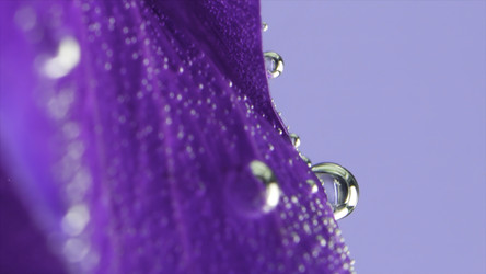 Similar image 22407132