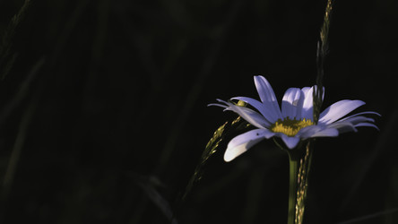 Similar image 22407177