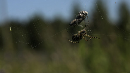 Similar image 22407193