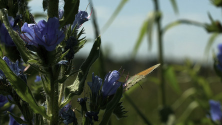 Similar image 22407312