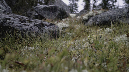 Similar image 22407401