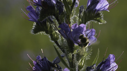 Similar image 22407416