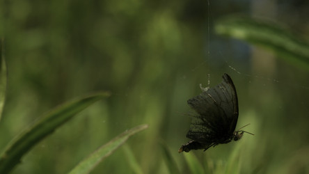 Similar image 22407432