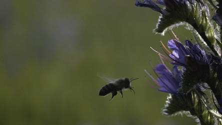 Similar image 22407538