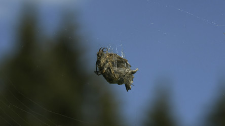 Similar image 22407564