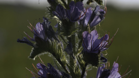 Similar image 22407637