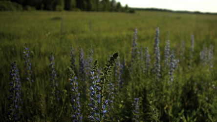 Similar image 22407638