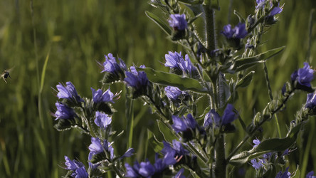 Similar image 22407680