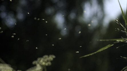 Similar image 22407681