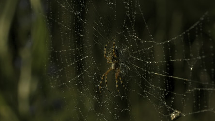 Similar image 22407698