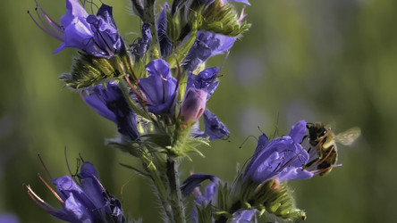 Similar image 22407742