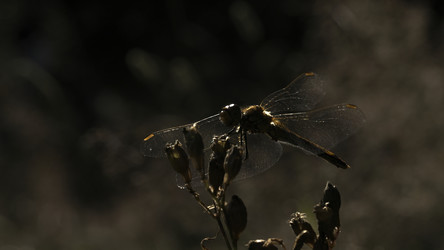 Similar image 22407743