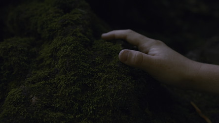 Similar image 22407757