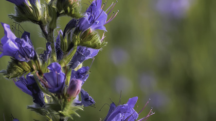 Similar image 22407801