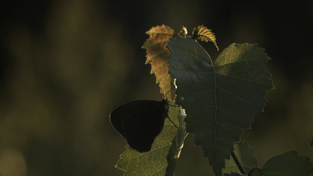 Similar image 22407815