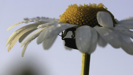 Similar image 22407865