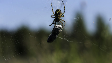 Similar image 22407892