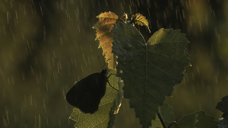 Similar image 22407909