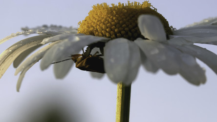 Similar image 22407954