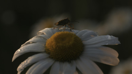 Similar image 22407969