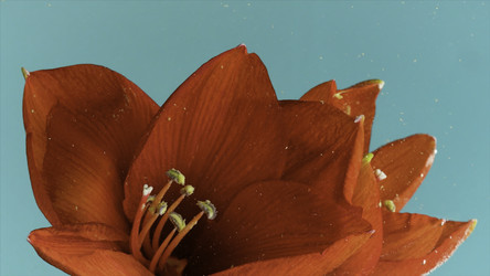 Similar image 22408044