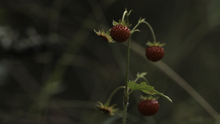 Similar image 22408075