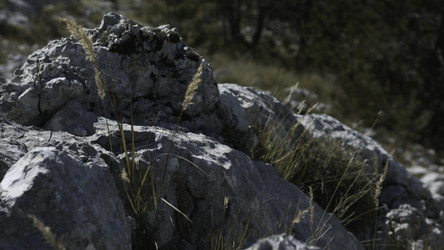 Similar image 22408076