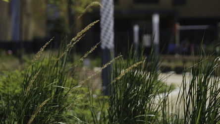 Similar image 22408088