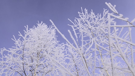 Similar image 22408117