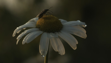 Similar image 22408132