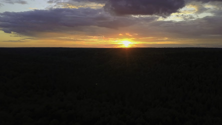 Similar image 22410022